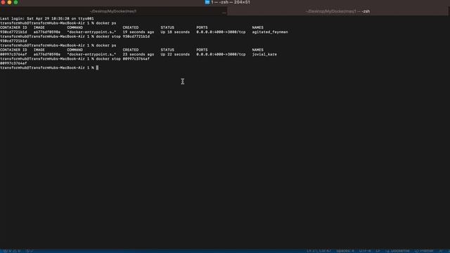 How to stop running container and clean system resources