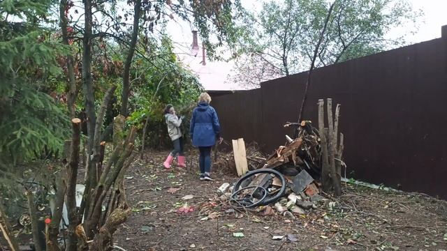 Вывозим мусор с дачного участка | Избавляемся от спила садовых деревьев