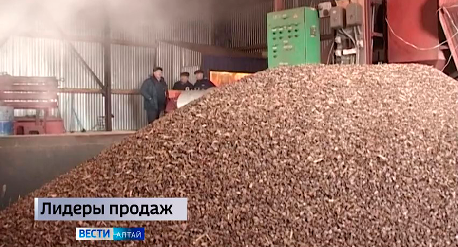 Алтайский край сохраняет лидерство по объёму зернового экспорта из Сибири