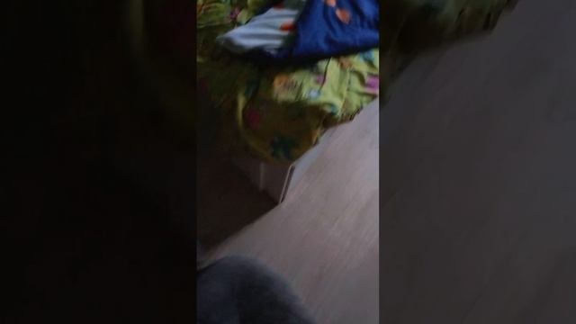 паркурю дома