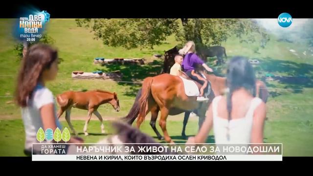 Да хванеш гората (18.02.2024)