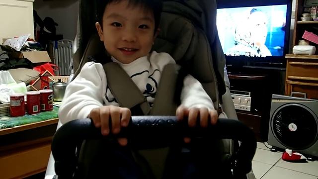 NUNA IVVI香檳金-調護欄