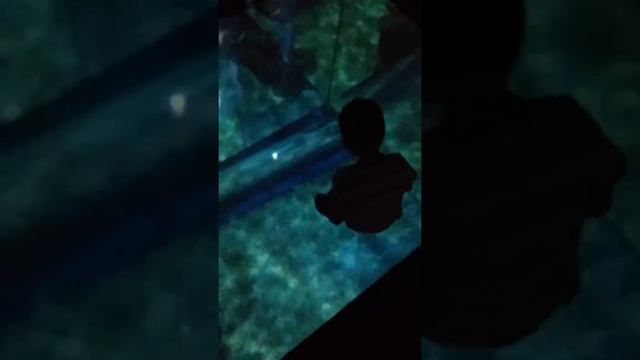 Прозрачный пол в океанариуме Бангкока