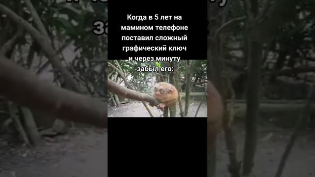 Сала малейкум