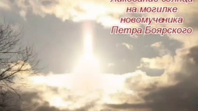 Ликование солнца на могилке новомученика Петра Боярского - из книги 