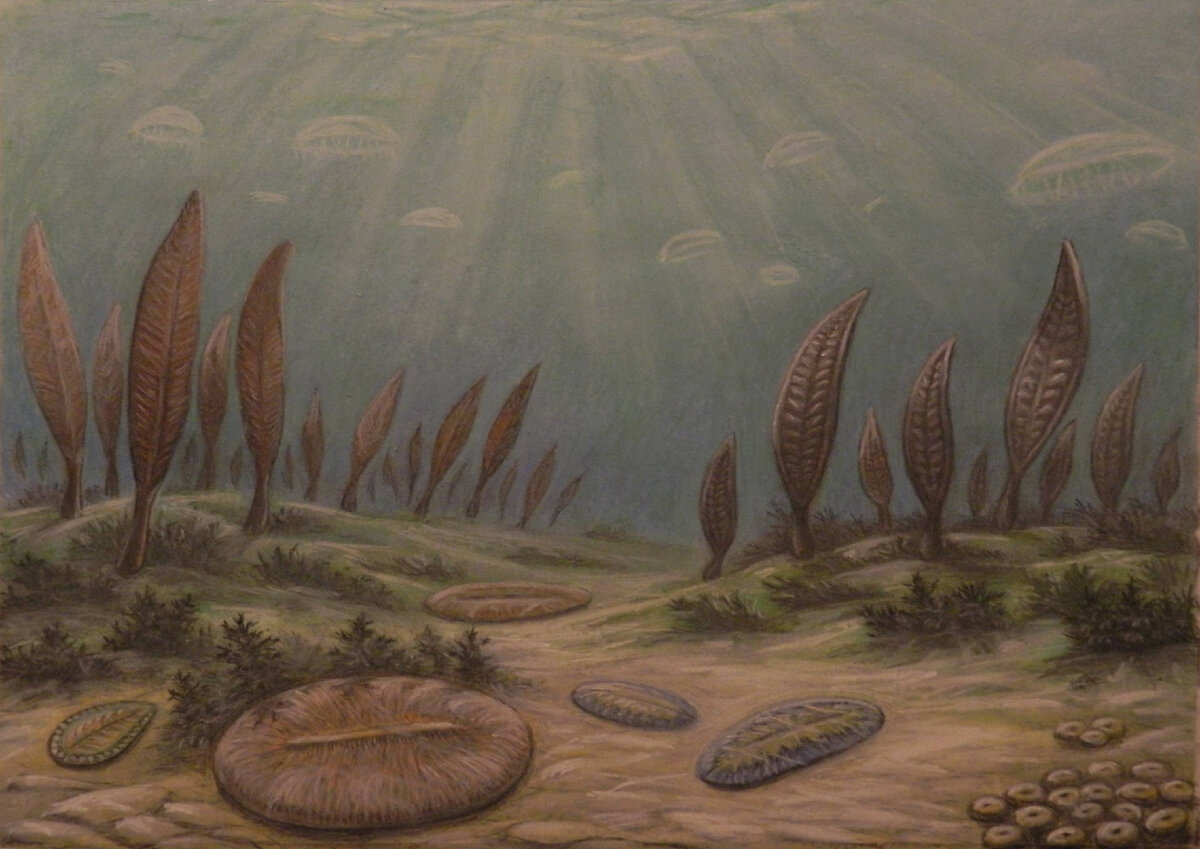 #3 Земля в эпоху протерозоя (2,5 млрд - 535 млн лет назад)