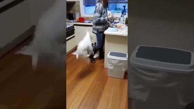 Приколы 03