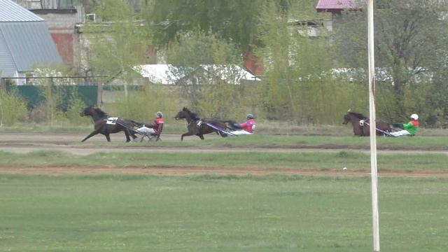 6 Раменский ипподром 04.05.2019 - Лошади рожд. 2016г. рысистых пород