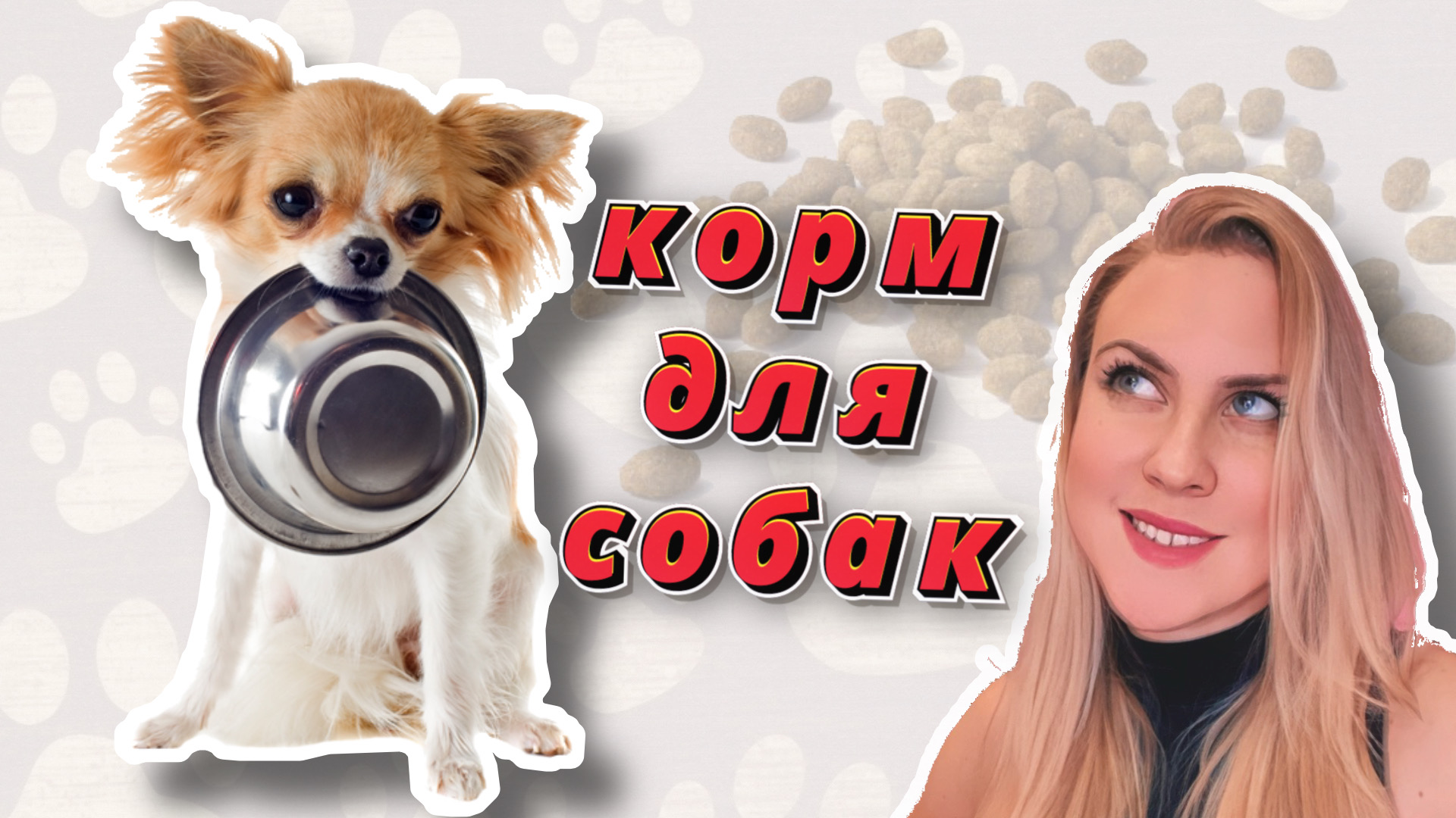 КОРМА ДЛЯ СОБАК | ЧЕМ КОРМИТЬ СОБАКУ | КАКОЙ КОРМ ВЫБРАТЬ ДЛЯ СОБАКИ
