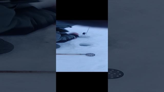 о. Синара