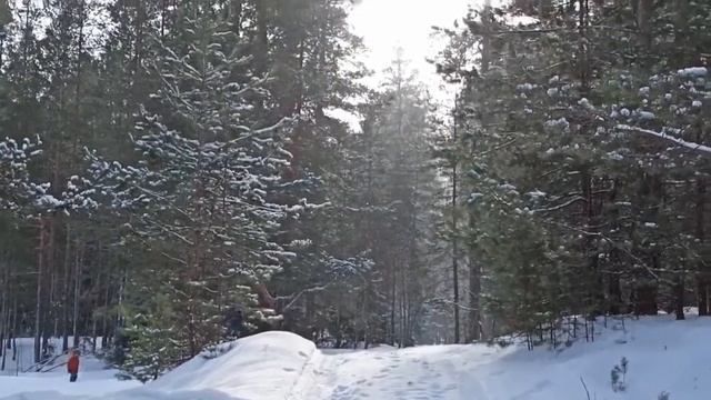 Зимняя сказка у нас. 8 февраля. Минус 10