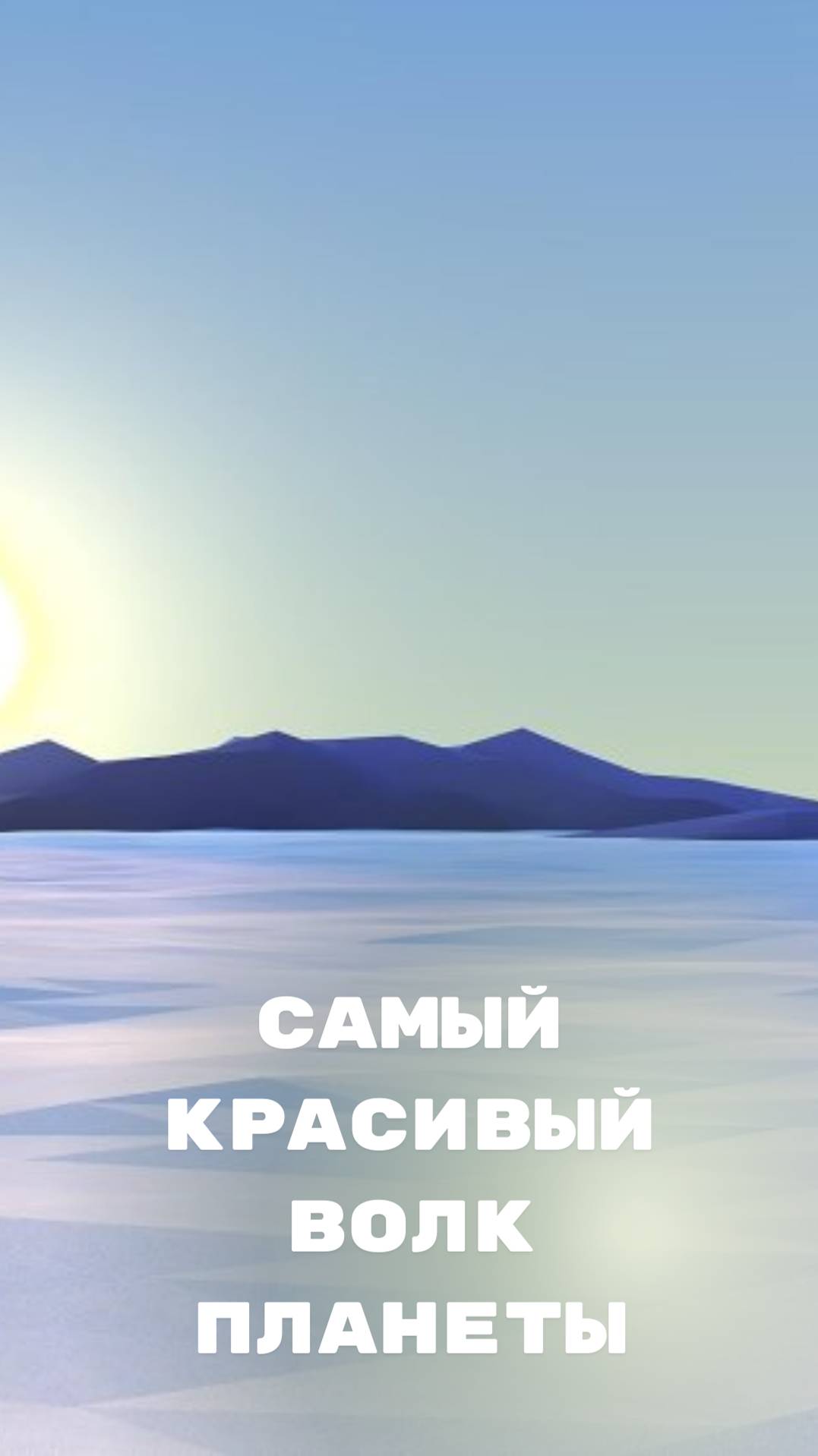 волки город