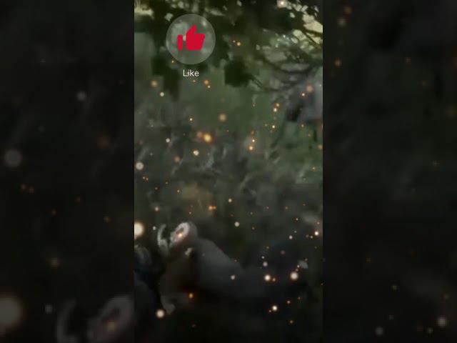 ну ты реально козьёль