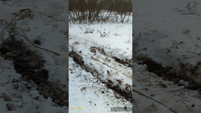 Кавасаки и Аодес - такой декабрь.....