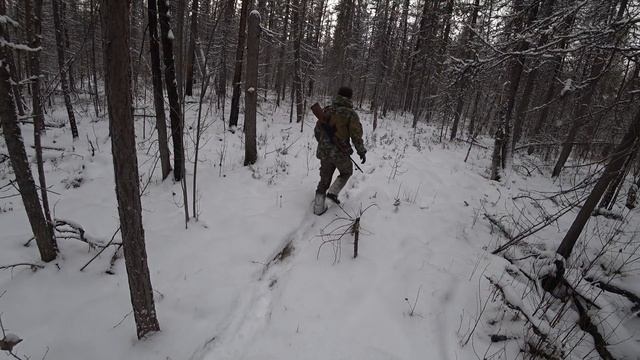 Промысел 2017. Жизнь в дикой тайге!
