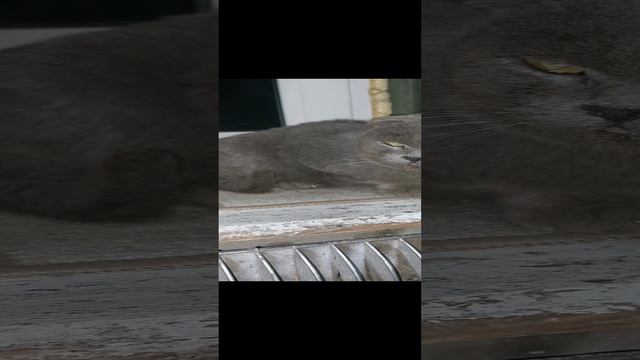 20230211_190608.mp4