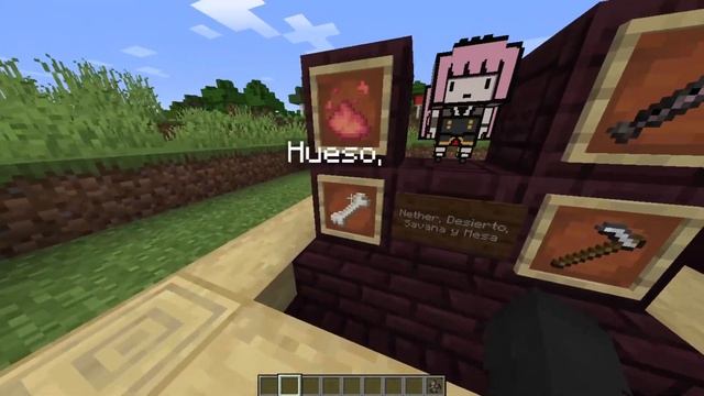 Es HERMOSO!! | Mods【FORGE】| Minecraft Java 1.16.5