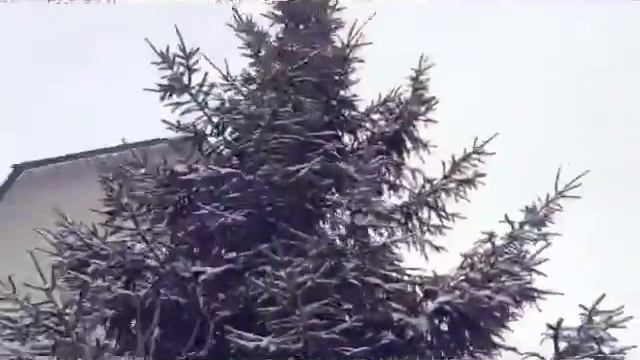 Моя дача часть 1