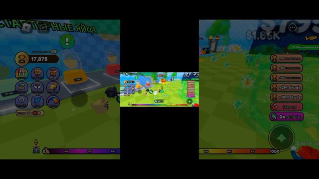 1000012451.mp4