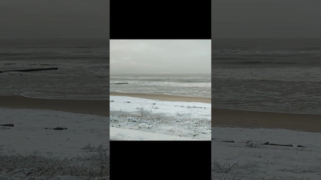 Балтийское море 26.11.2023 Калининград