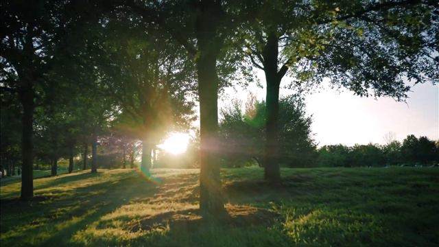 Dramatic Relax {Music of Nature} [4K UltraHD]