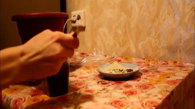 Посадка корневого сельдерея на рассаду