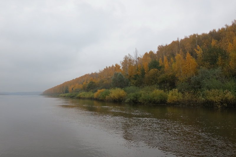 Ока, рыбалка, сентябрь 2016 год.