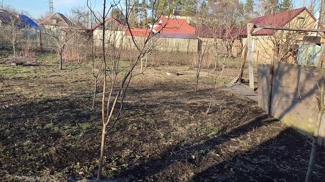 Новые находки . Обзор покупок .