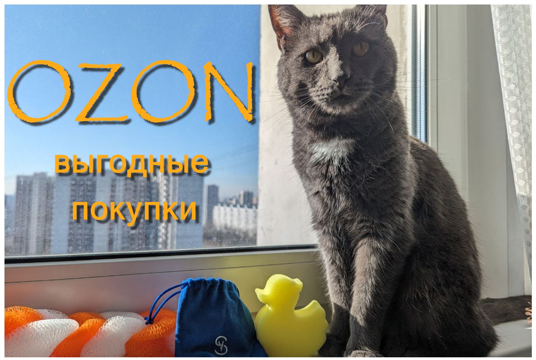 Кот-эксперт на OZON/Забавные моменты и обзор популярных товаров