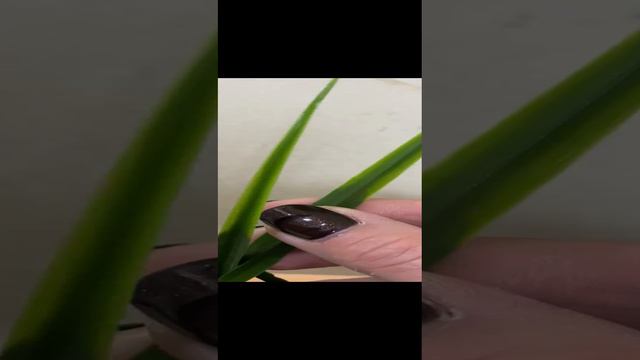 1000128254.mp4