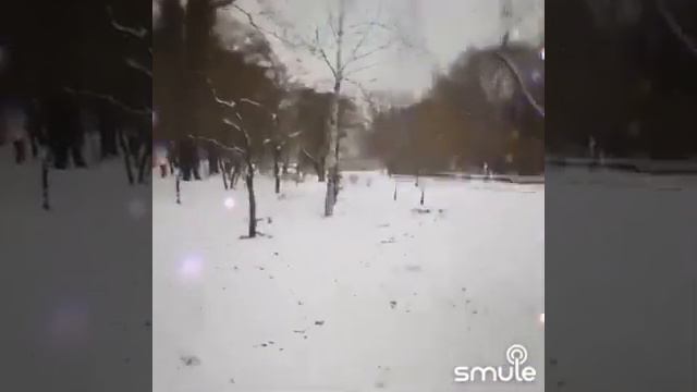 Первый снег. Поздравляю с первым снегом!