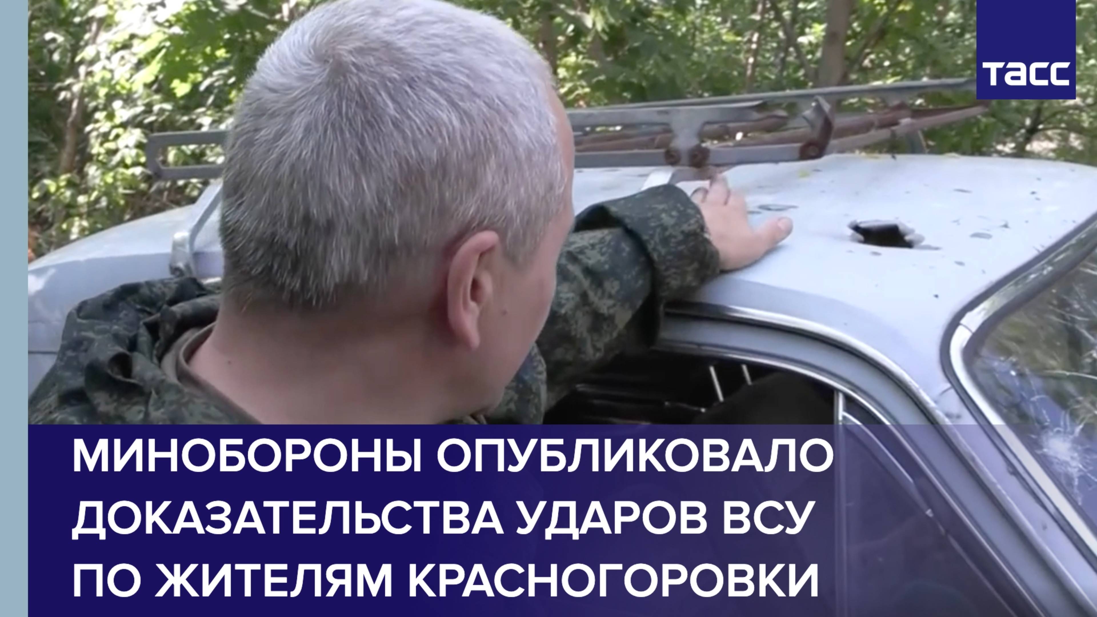 Минобороны опубликовало доказательства ударов ВСУ по жителям Красногоровки