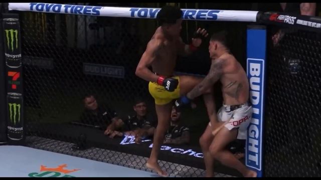BEST UFC KNOCKOUTS OF 2024 - MMA Fighter