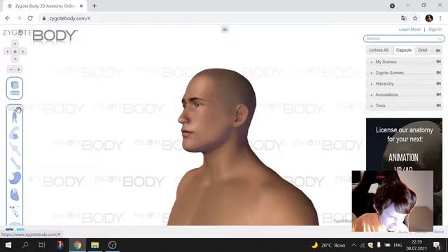 Краткий обзор сайта по анатомии зиготабоди zygotebody.com