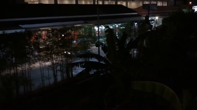 Тайланд 2019 «Три острова». Часть 3.2 Пхукет. Рынок морской еды Раваи и отель Ката Сильвер Сан