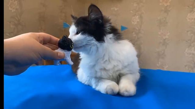 ДЕЛАЕМ ЯНИ ФИГУРКУ ИЗ 3D РУЧКИ!
