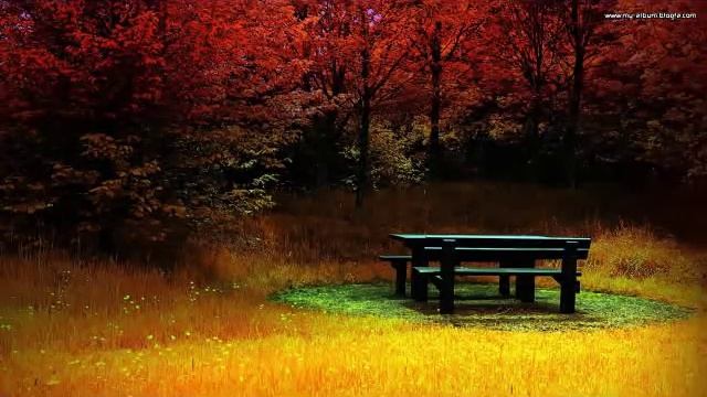 Relaxing Guitar Music:Sleep Music,Relaxing Music,Meditation Music vol.1