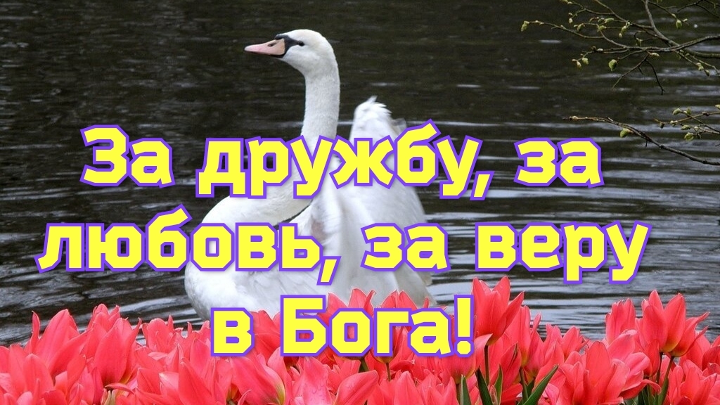 Красивые стихи! За дружбу, за любовь, за веру в Бога!