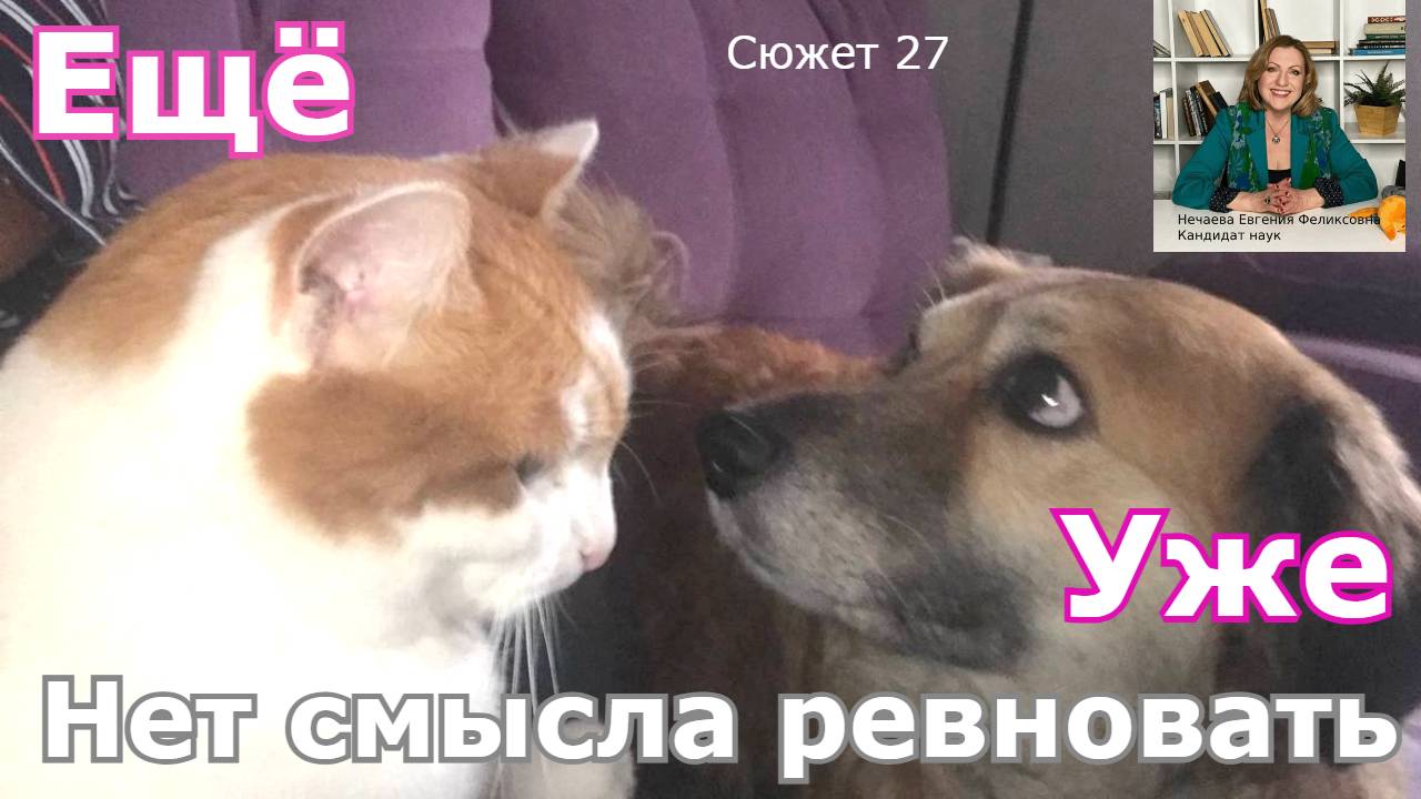 Я ревную. Как не сгореть в огне ревности?