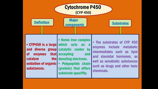 Principles of Toxicology || Xenobiotic metabolism 1