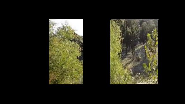 San Antonio, Tx Real Estate At It's Finest! 0.38 Acre L
