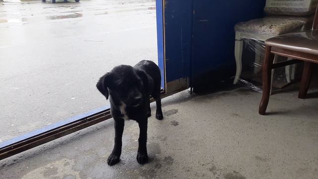 Моё рабочее место вы нюхал