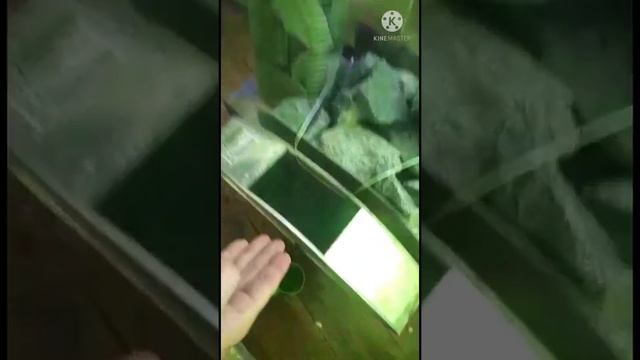Тест походной бани 23 февраля