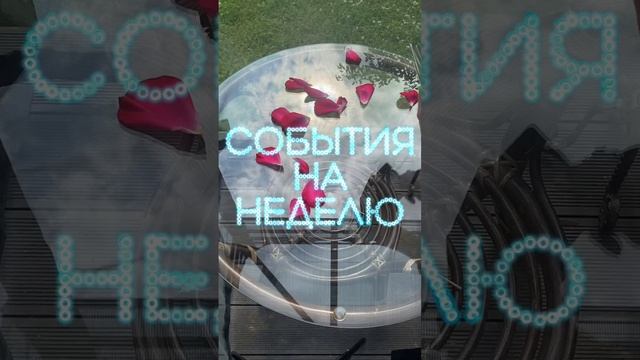 События на ближайшую неделю #таро #тароонлайн #гаданиеонлайн #гадание