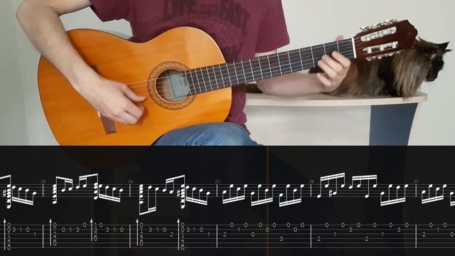 Spanish danceMalaguenaTaranta - spanish guitar TAB