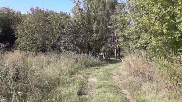 Утро в деревне 🏞🌲☕😎👍Душевный релакс 🏞🌄Отдых в деревне от шума и суеты города 🏞🏕🏕🏕🌲🌲