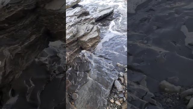 зовем золотую рыбку
