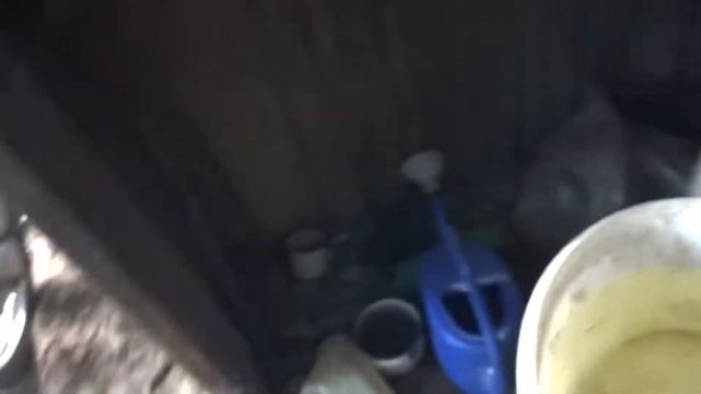 ТУРНИК или  ЖИР//Сельский быт//Кормление животины.
