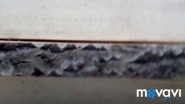 Борть- колода для пчел своими руками