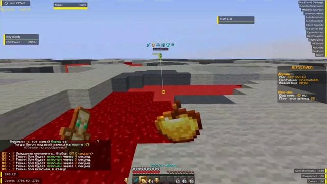 РАЗНОШУ RIPSERVER С ЧИТОМ EXPENSIVE 1.16.5